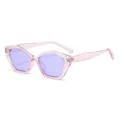 Modische rosa transparente Fassung lila Linsen Polygon Sonnenbrille Damen und Herren Brille - Hellvioletter Rahmen Lila Gläser