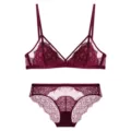 Bourgondische kant bralette en bijpassende slip met een delicaat bloemdessin detailweergave - S / Top en Broek / Bordeauxrood