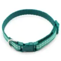 Green pet collar with white stripes, durable fabric strap and secure buckle for daily outdoor use. - Size S, Width 1.0cm, Adjustable 17-26cm / Green 2