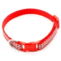 Close-up detail of a red and white striped pet collar with a durable plastic buckle and metal ring. - Burgundy