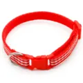 Red striped pet collar with plastic buckle and metal d-ring for dogs and cats safety. - Red