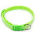Green pet collar with white paw prints, plastic buckle and metal D-ring for pets. - Fluorescent Green