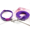 Detailed view of purple pet collar and leash set with reflective stripes and metal hardware. - Violet