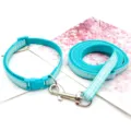 Blue plaid pet collar and leash detail view, showing durable woven fabric and sturdy metal hook. - Mint Green