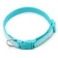 Close-up detail view of the cyan pet collar buckle and durable metal ring mechanism. - Mint Green