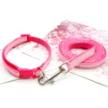 Pink plaid pet collar and leash set detail, featuring soft webbing and durable metal hardware. - Rose Red