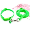 Green pet collar and leash set with bell, durable nylon strap for small dogs walking. - Light Green