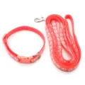 Dettaglio del set guinzaglio e collare per animali in rosa con simpatici motivi di zampe bianche. - Rosso anguria