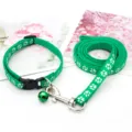 Set collare e guinzaglio per animali verdi con stampa zampa bianca e campanello dettaglio - Verde