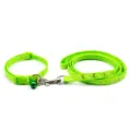 Ensemble collier et laisse pour animal étoile lune vert détail, 1.0cm sangle chiot tissu - Largeur 1.0cm Longueur 120cm Plage de Réglage 19-32cm / Vert Fluorescent