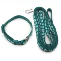 Set collare e guinzaglio per animali verde con stampa di impronte di zampe per gatti. - Verde Scuro