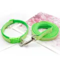 Green plaid pet collar and leash set detail shot, showing durable metal hooks and soft fabric. - Light Green