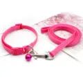 Pink nylon pet collar and leash set with bell and metal hook for small dogs and cats. - Rose Red