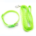 Primo piano dettagliato del set guinzaglio e collare per animali verde vivace con motivi di zampe bianche. - Verde fluorescente