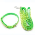 Set guinzaglio e collare per cani gatti verde con motivo impronta di zampa bianca all'aperto. - Verde chiaro