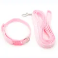 Set collare e guinzaglio rosa per animali domestici con impronte di zampe carine. - Rosa