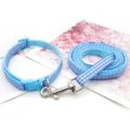 Blue and white plaid pet collar and leash set, perfect for small dogs outdoor walking. - Sky Blue