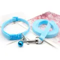 Close-up detail of light blue pet collar and matching leash set with metal bell clasp. - Sky Blue