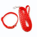 Set collare e guinzaglio rosso per animali domestici con zampe bianche, nylon robusto. - Rosso