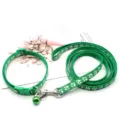 Set guinzaglio e collare verde per cani di piccola taglia e gatti, 1.0cm con stampa di zampe. - Verde