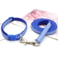 Blue plaid pet collar and leash set for small dogs, vintage style outdoor walking leash. - Blue