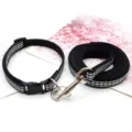 Black and white plaid pet collar and leash set for small dogs, durable walking strap. - Black