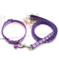 Set guinzaglio e collare per animali viola con stampa zampe, ideale per cani di piccola taglia. - Viola