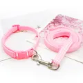 Pink Plaid Pet Collar and Leash Set for Small Dogs Outdoor Walking Accessory Item. - Pink