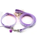 Set guinzaglio e collare per cani e gatti viola con motivo a impronta di zampa per passeggiate. - Viola chiaro