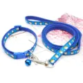 Ensemble de laisse et collier pour chien en dessin animé bleu avec cloche, accessoires. - Bleu