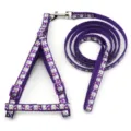 Purple pet leash and harness set detail view, 1cm wide adjustable nylon strap with cat print. - Width 1.0CM Cord Length 1.2M Adjustment Range 19-32CM / Purple