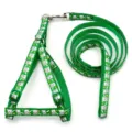 Grünes Haustier Leine und Geschirr Set mit Welpen Druck, verstellbar, robuster Metallkarabiner. - Breite 1.0CM Kordellänge 1.2M Verstellbereich 19-32CM / Grün