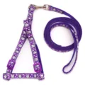 Purple pet harness and leash set with cute cartoon cat and dog print, adjustable straps. - Width 1.0cm, Leash Length 120cm / Purple