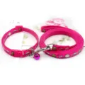 Pink cartoon pet leash and collar set with bell, 1cm wide nylon rope for small dogs and cats. - Rose Red