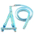 Cute cartoon print pet harness and leash set for small dogs and cats, blue nylon walking strap. - Width 1.0cm, Leash Length 120cm / Lake Blue