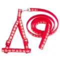 Detailed view of the red cartoon printed pet harness and leash set with 1cm width and metal hook. - Width 1.0cm, Leash Length 120cm / Red