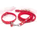 Red pet leash and collar set 1cm wide nylon traction rope with bell cute cartoon animal print - Width 1.0cm, Leash Length 1.2m, Adjustable Range 19-32cm / Red