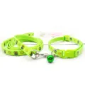 Green pet leash and collar set, cute bee pattern, durable nylon with bell for cats and dogs. - Fluorescent Green