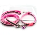 Ensemble de laisse et collier pour animaux de compagnie reflechissants rose vif. - Rose
