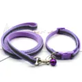 Détail de laisse et collier réfléchissants pour animaux, accessoire violet en nylon. - Mauve Clair