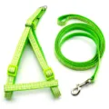 Green white gingham pet harness leash set for dogs cats walking cute pet supplies. - Light Green
