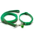 Vue détaillée de l'ensemble de laisse et collier réfléchissants verts pour animaux de compagnie. - Vert
