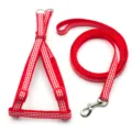 Red gingham dog harness and leash set, comfortable pet vest leash for walking cats and dogs. - Red