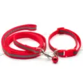 Dettaglio del guinzaglio e collare riflettente per animali, con robusto cinturino in nylon e gancio. - Rosso