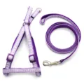 Purple plaid pet harness and leash set detail showing the vest design, straps, and hardware. - Purple