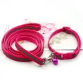 Ensemble de laisse et collier réfléchissants roses pour chien et chat en promenade. - Rose rouge