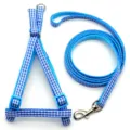 Blue and white gingham pet harness and leash set, adjustable vest style for small dogs and cats. - Sky Blue