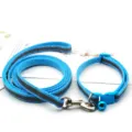 Ensemble de liasse et collier pour animal de compagnie, laisse de chien en nylon réfléchissant. - Bleu lac