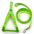 Green pet harness and leash set detail showing soft woven fabric and cute heart pattern. - Fluorescent Green