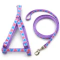 Durable purple pet harness and leash set with cute heart patterns for daily walking. - Light Purple